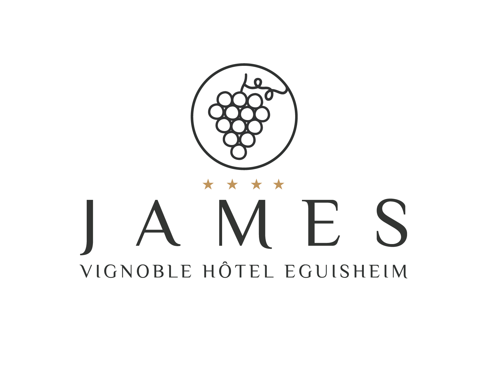 Herzlich willkommen im Hotel JAMES VIGNOBLE HOTEL EGUISHEIM****