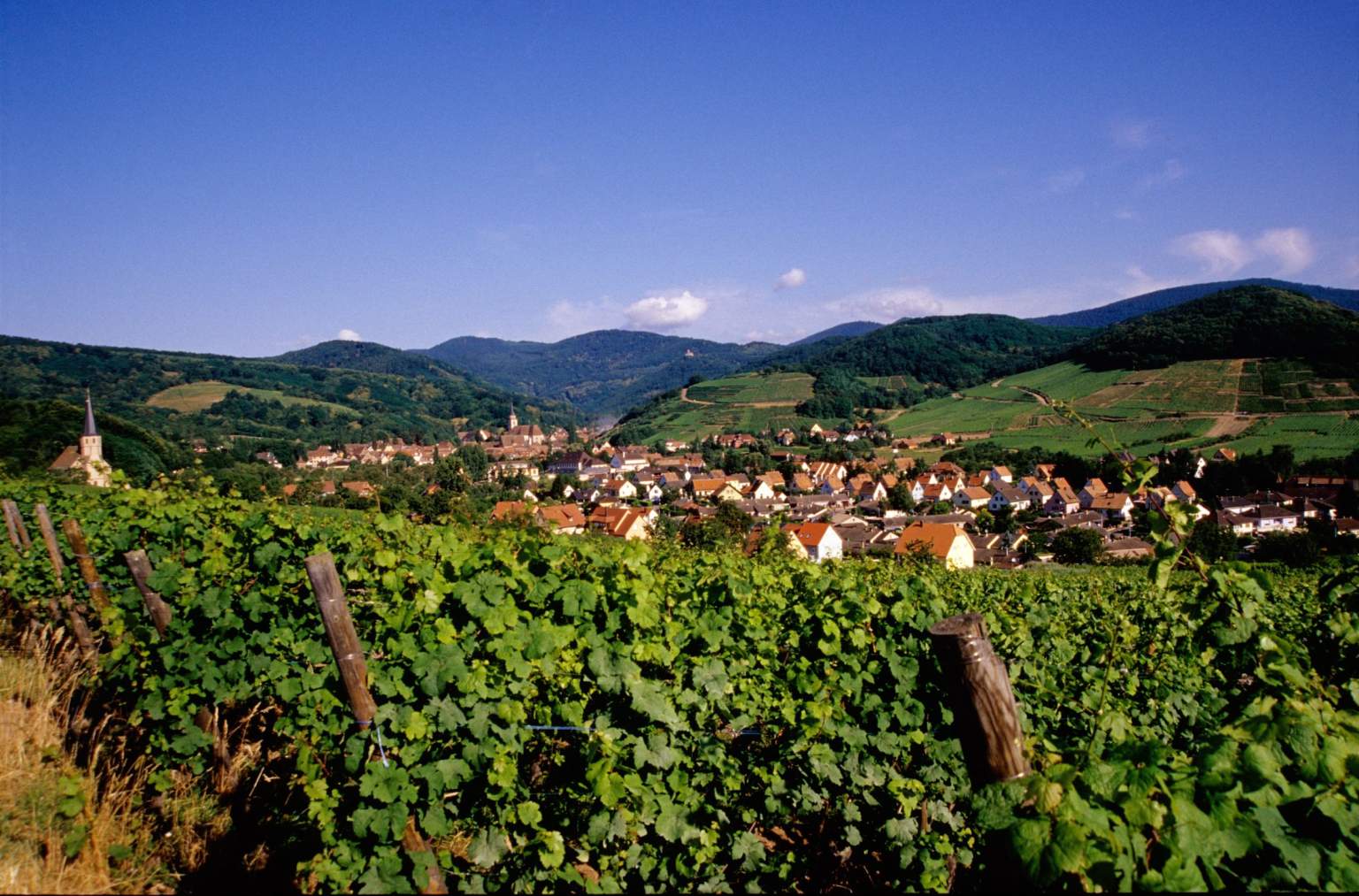 wine route Hotel near Colmar, James Vignoble Hotel Eguisheim