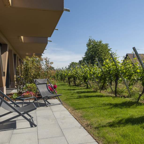 3 star hotel Alsace, James Vignoble Hotel Eguisheim · Vineyard Suite
