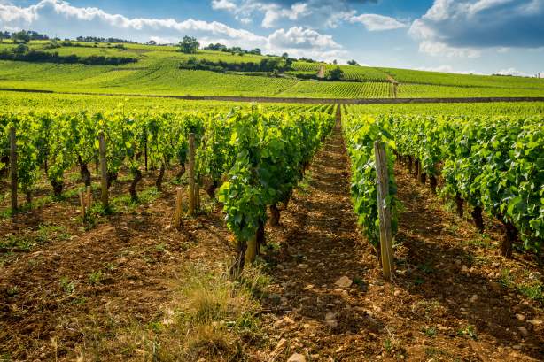 <span><span><span><span>Week-end dégustation vin en Alsace</span></span></span></span>
