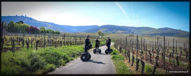 <span><span><span>Séjour découverte en Segway en Alsace</span></span></span>